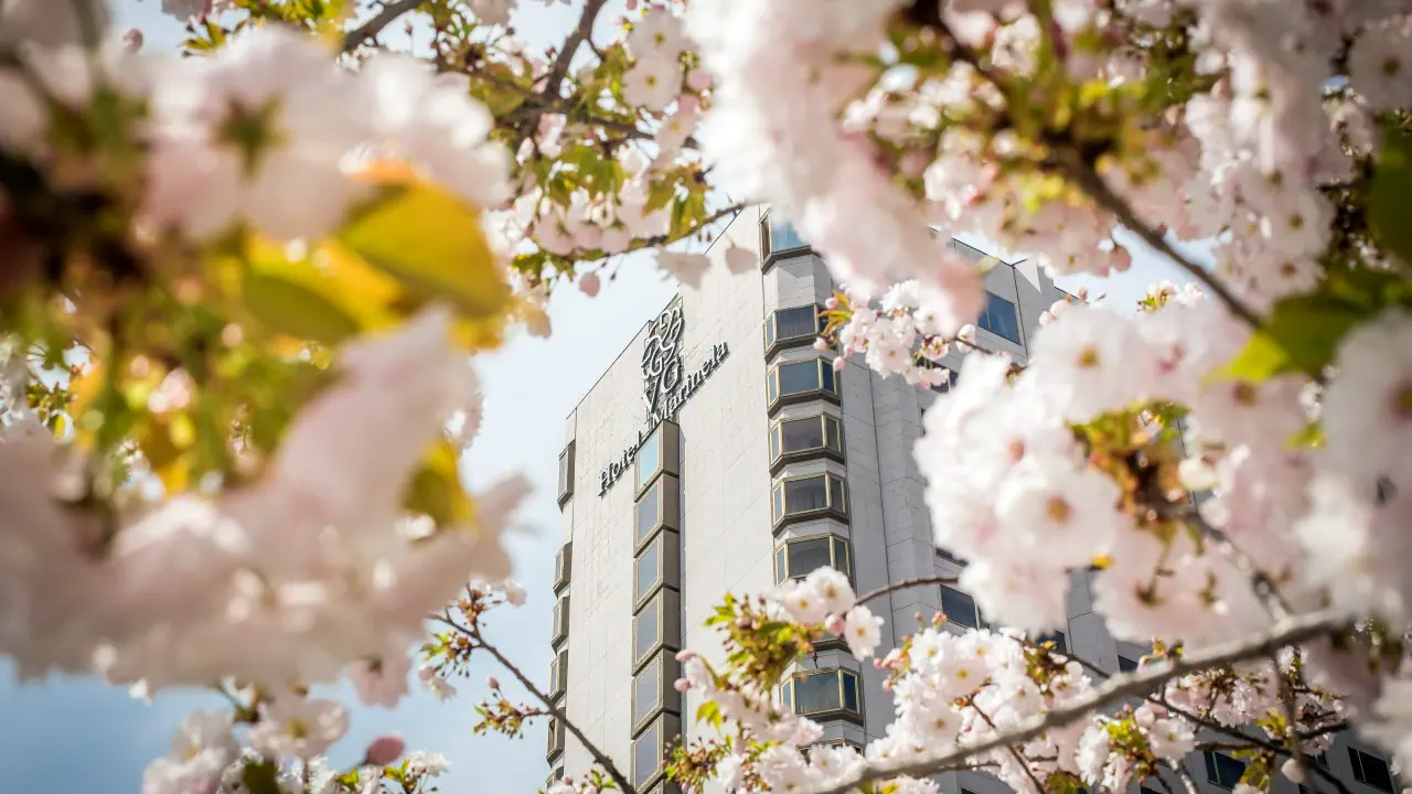 الفندق مارينيلا صوفيا - صوفيا